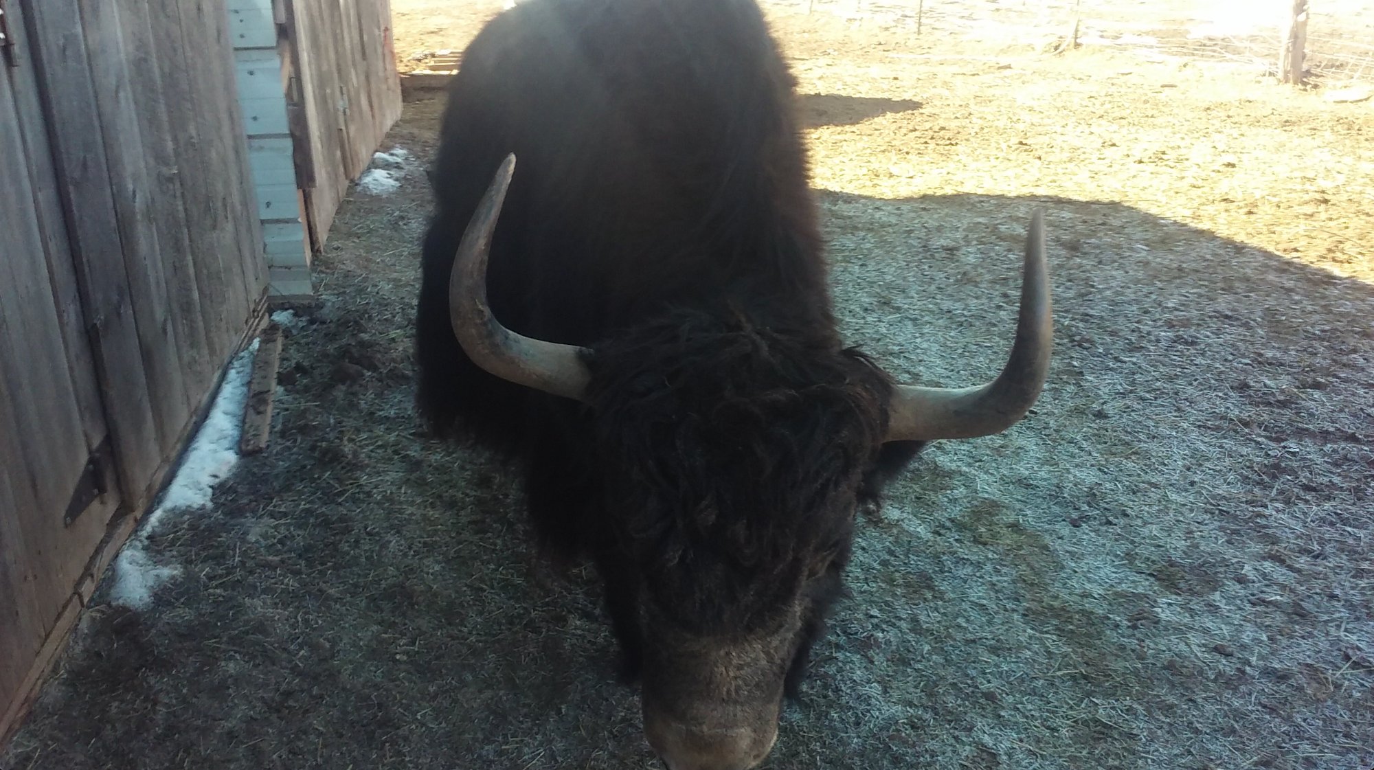 New Mexico to Colorado